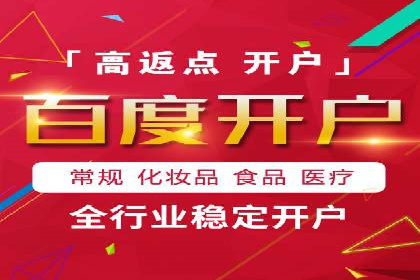 某品牌SEM广告投放效果全解析